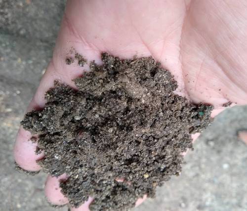 Sandy Soil In Camp