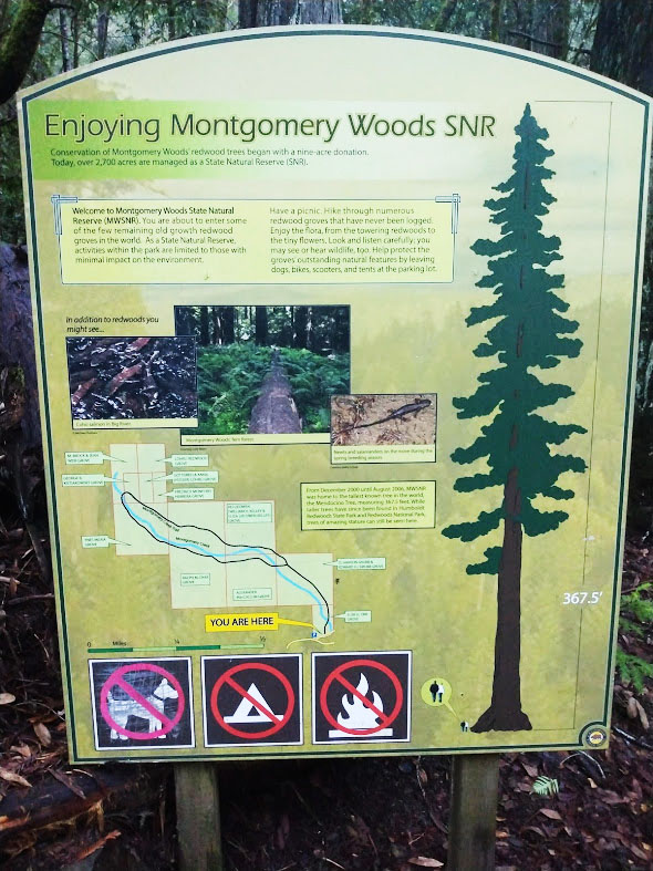 Montgomery Woods SNR