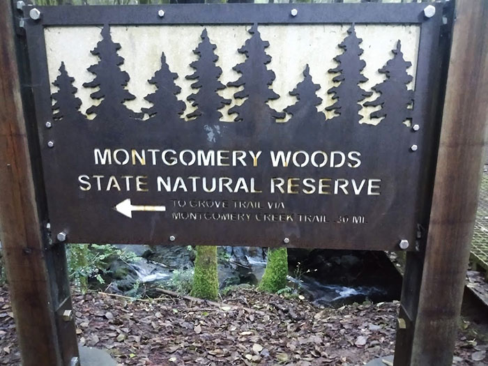 Montgomery Woods State Natural Reserve