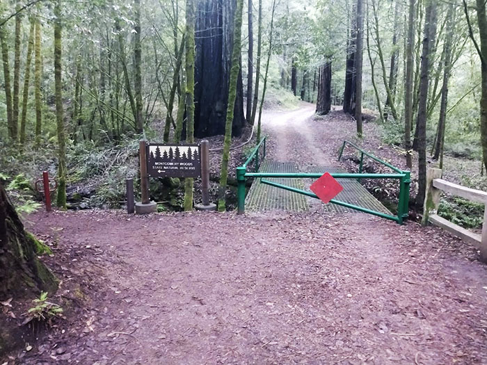 Montgomery Woods park