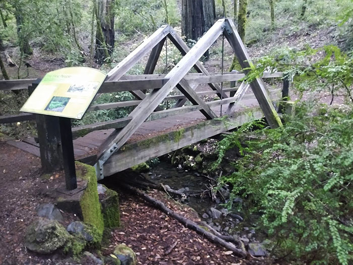 Montromery Woods trail bridge
