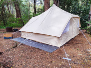 Huge Tent Henry Cowell Redwoods