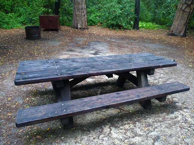 Picnic table Henry Cowell State Park