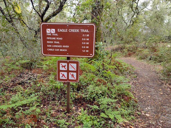 Trail in Campground