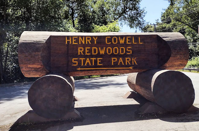 Informative Guide to Henry Cowell Redwood State Park