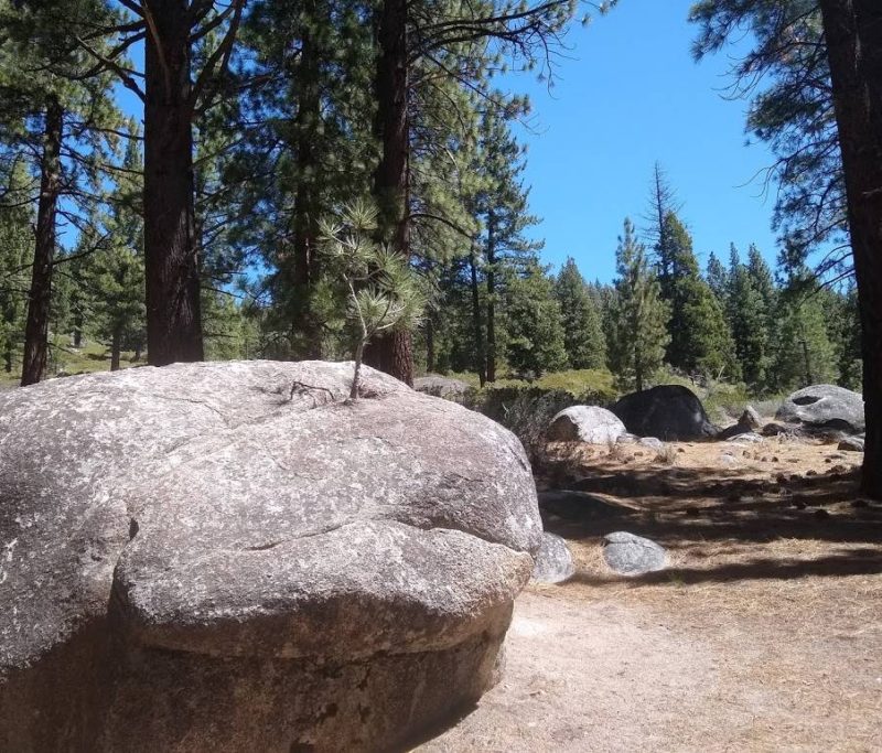 Large Boulders Mixed In