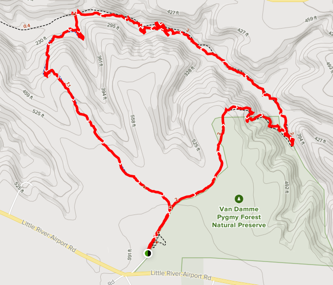 Old Logging rd to Fern Canyon Loop map